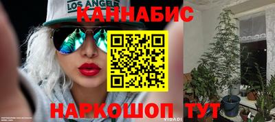 mdpv Новозыбков