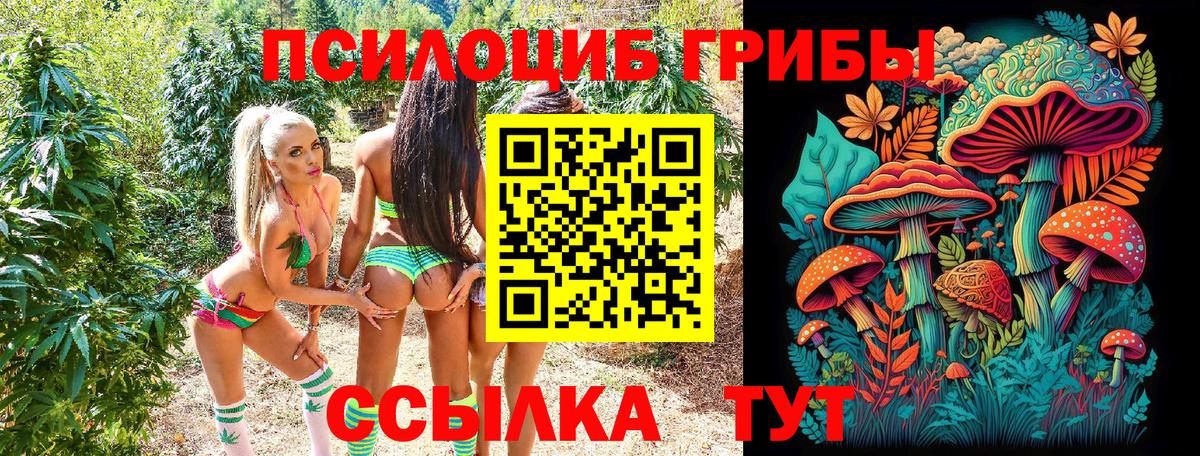 Галлюциногенные грибы ЛСД  Галлюциногенные грибы мицелий  Чайковский  Вход с VPN 