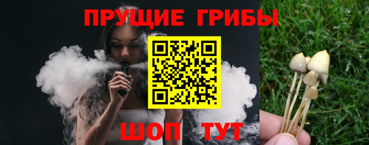 Псилоцибиновые грибы MAGIC MUSHROOMS Чайковский